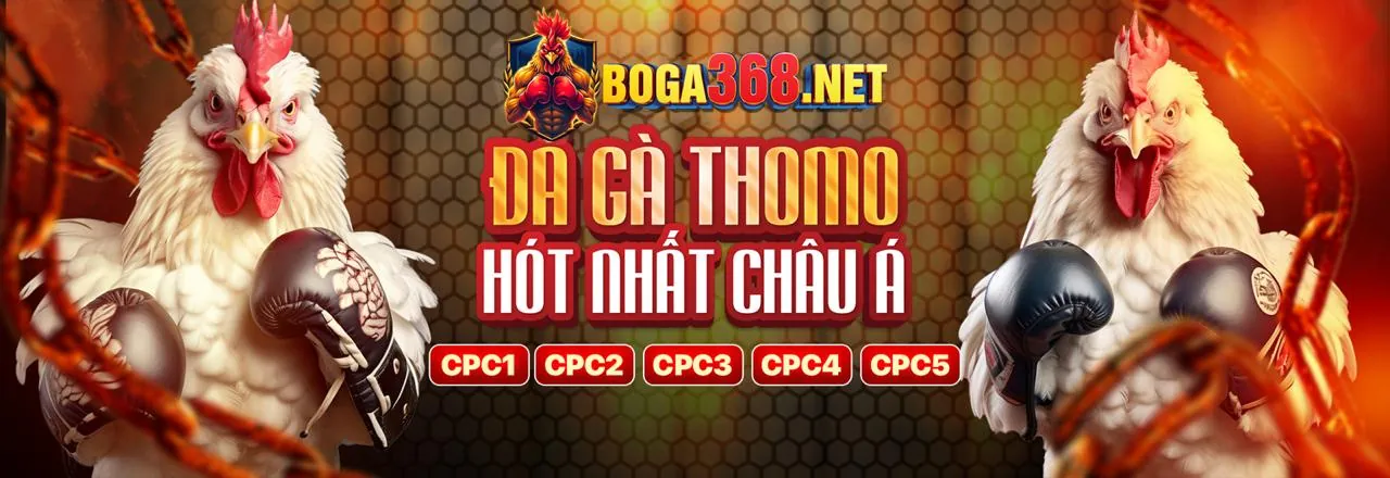 Tải ứng dụng Thiên Long Casino 2026 trên điện thoại di động