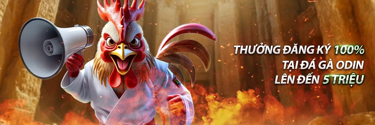 Khuyến mãi độc quyền tại Thiên Long Casino