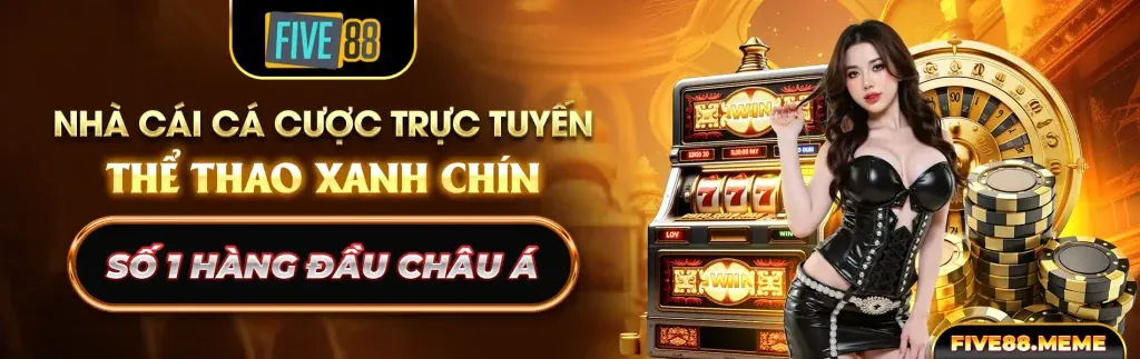 Chính sách lưu trữ dữ liệu an toàn tại thiên long casino.