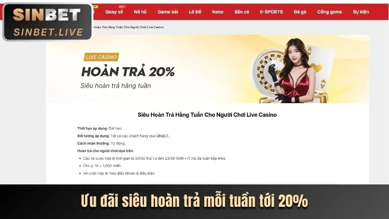 Tổng quan nền tảng cá cược thể thao thiên long casino
